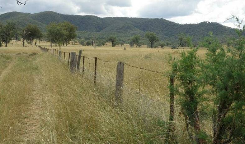 Mundy and Arlene Sattolo's 2068 hectare Mingoola property Mt Bowman has sold.