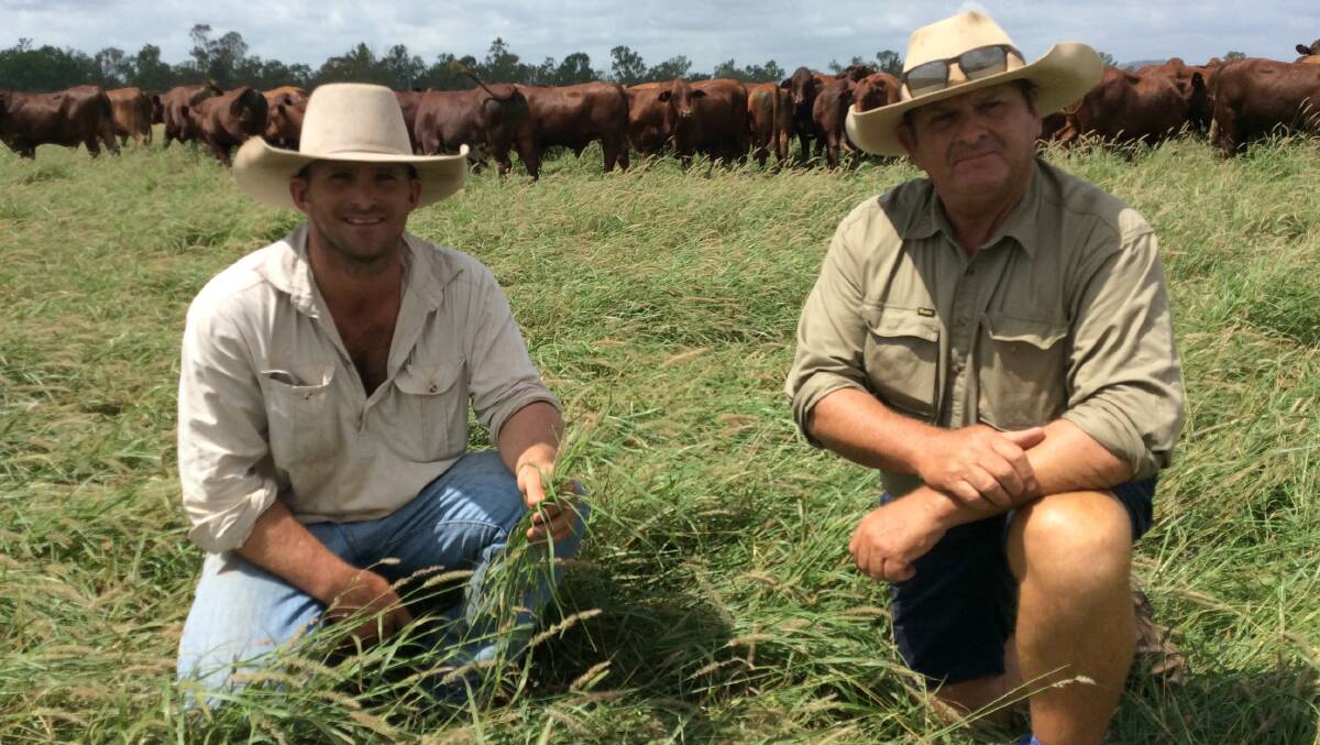 DROUGHT BUSTER: Mundubbera cattle producers Jake Dingle and his father Rodney are now enjoying one of the best seasons in years.