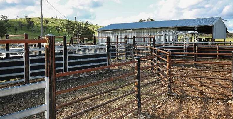 Longford has excellent cattle handling facilities.