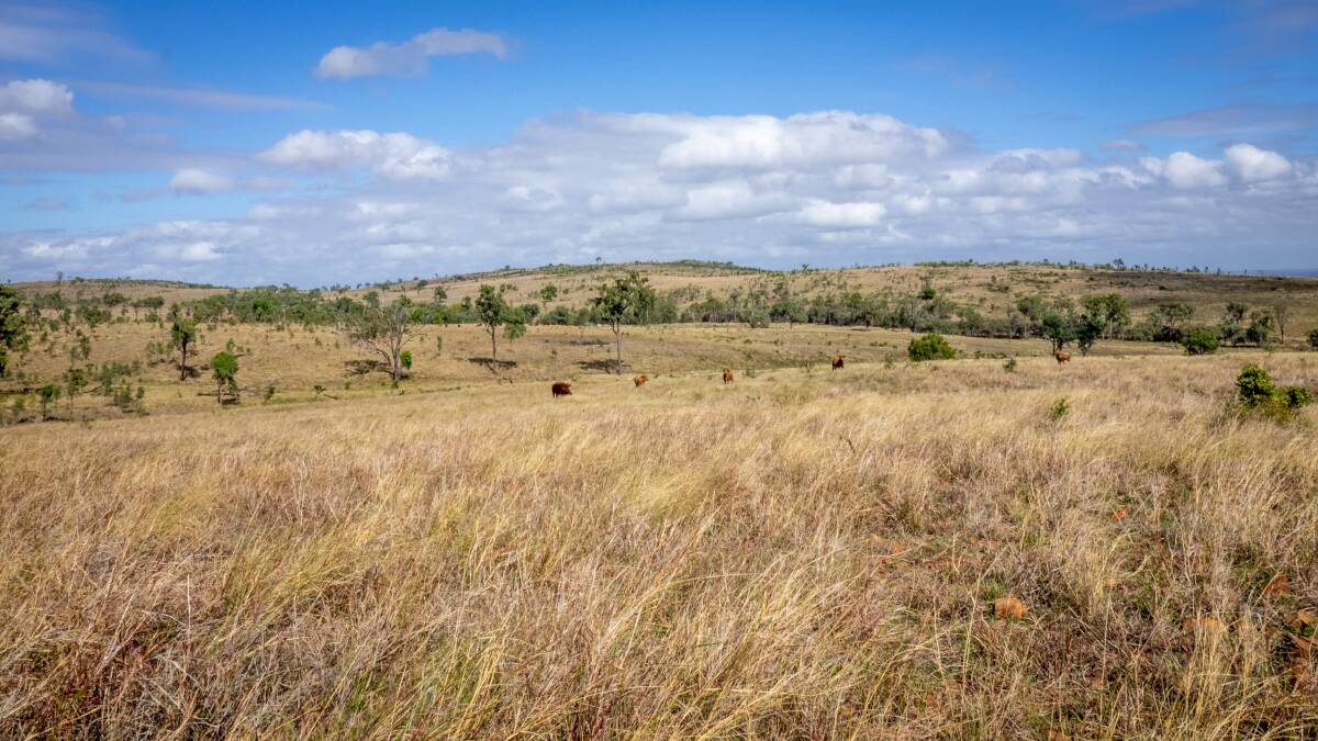 UNDER THE HAMMER: Banana property Nebar Two has sold at a Hourn & Bishop Qld auction.