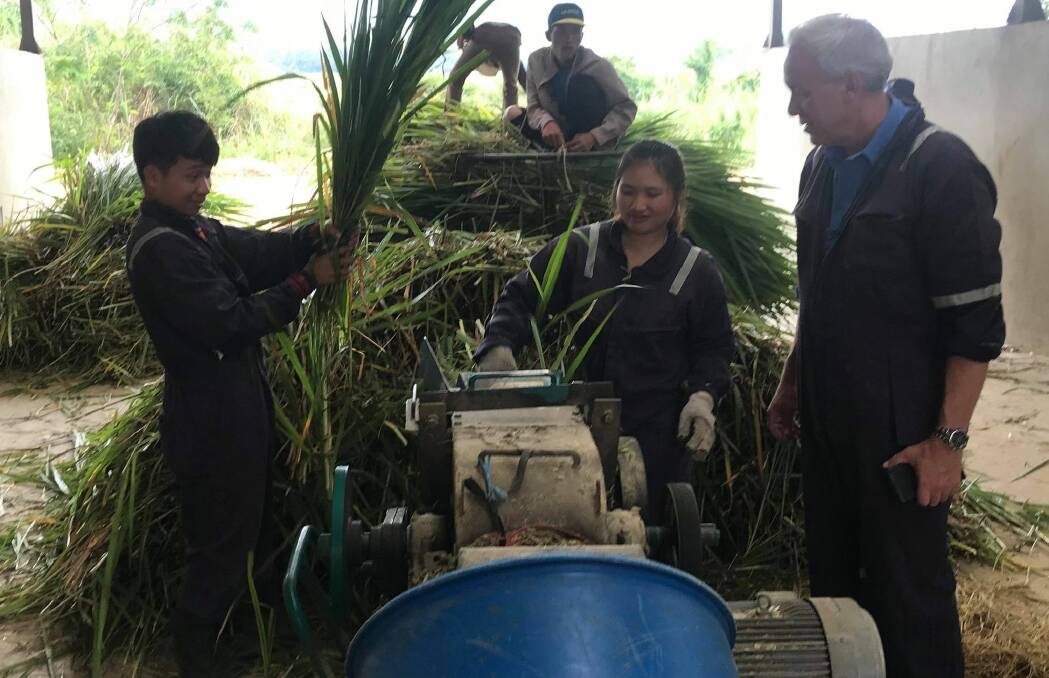 Charles Olsson, 4 Season Company, checking out the daily task of chopping Napier grass at the Laos Buffalo Dairy. 