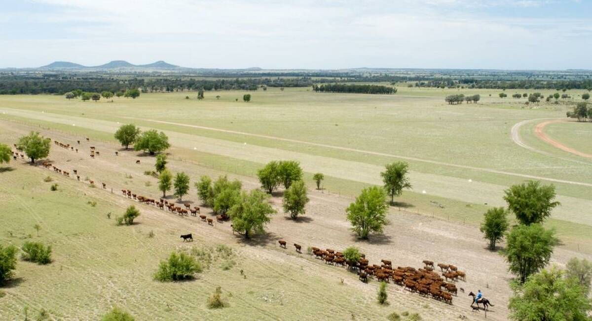 MARKET WATCH: Southern Queensland rural property values are generally expected to remain strong in 2019. 