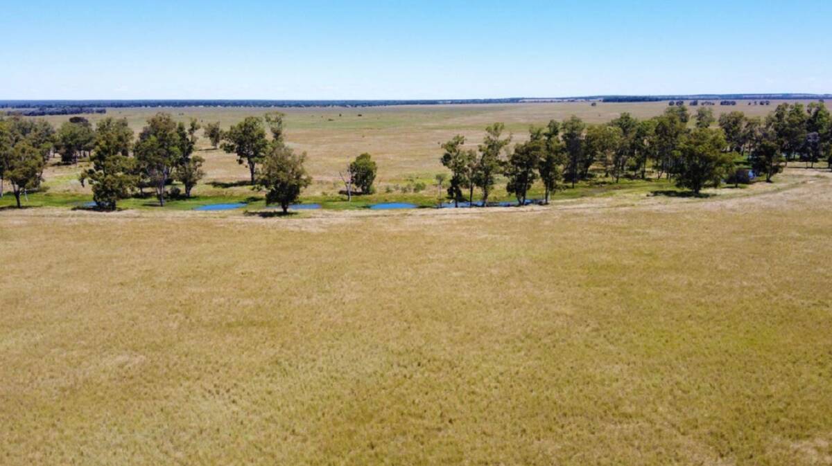 NUTRIEN HARCOURTS GDL: The Western Downs property Tarcoola has made a cracking price at auction, selling well above the reserve.