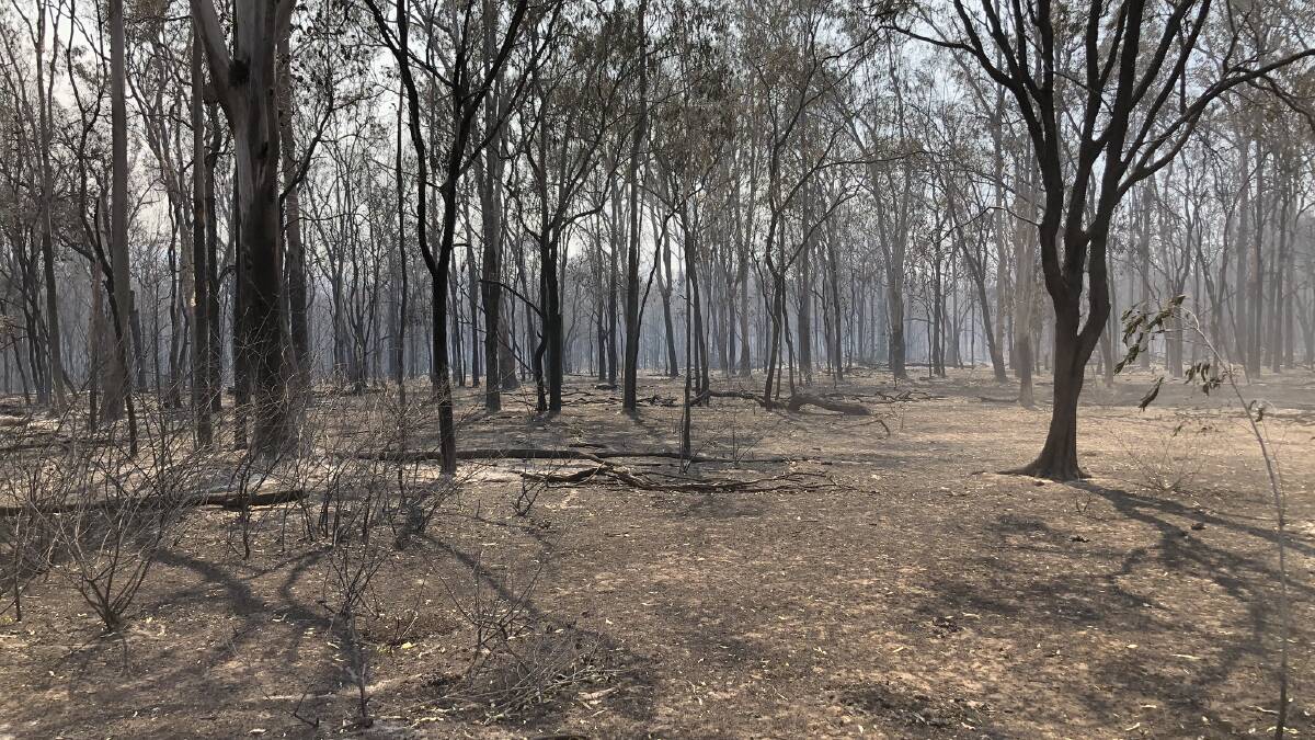 Bush fires rip through Central Qld grazing leases