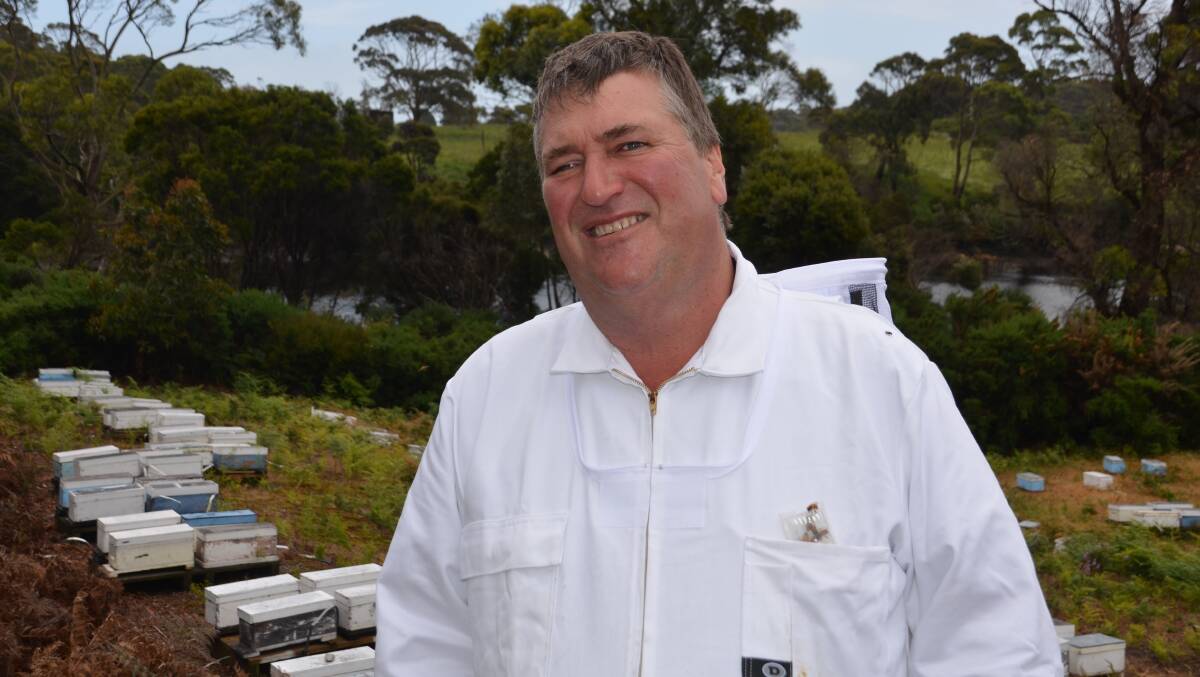 OUT OF THE BOX: Robbie Charles, Blue Hills Honey, Mawbanna, Tas, says breeding superior queen bees relies on strong hives and quality stock.