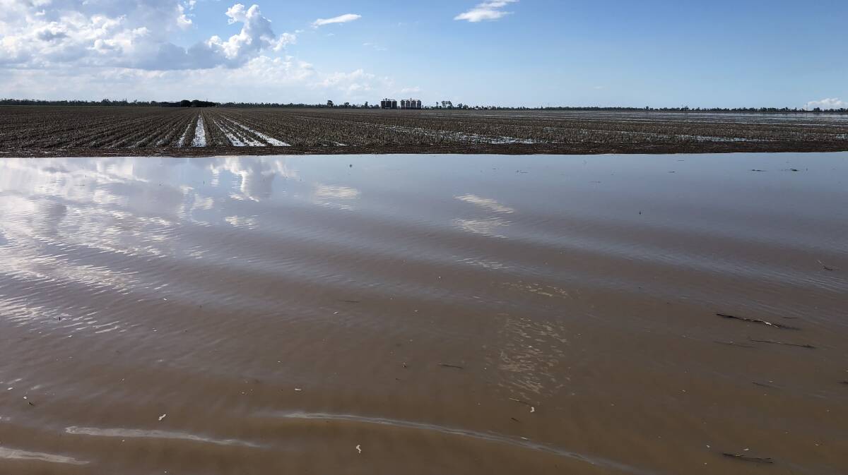 Inland Rail builders told to study current Darling Downs flood