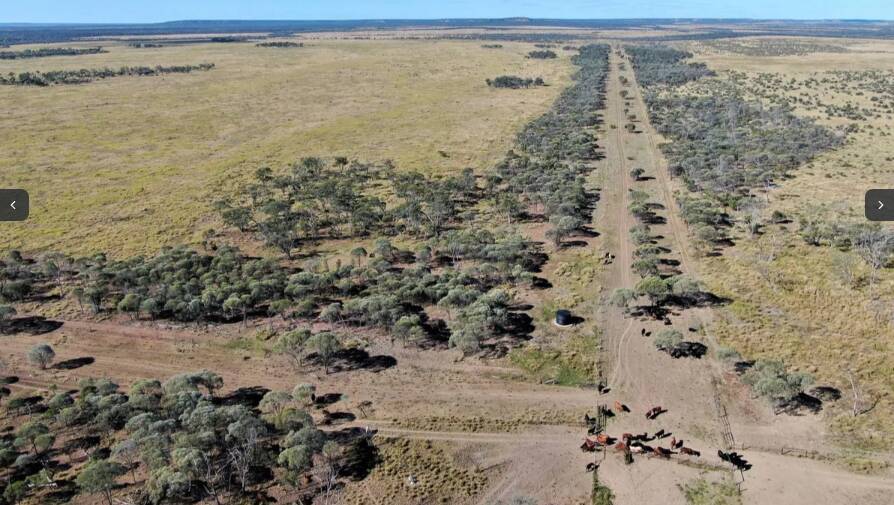 Hughenden's Peronne Station has sold at auction for $13.1 million, more than $10,000 a breeder area. 