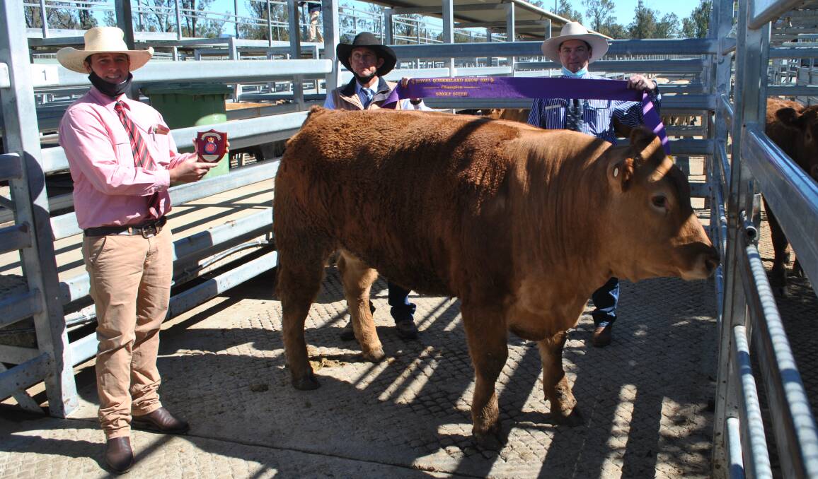 Carl Young, Elders, Neil Goetsch, Goetsch and Son, Kalbar, and judge Anthony Griffiths, JBS Australia, with the Queensland Country Life champion single steer, a Limousin exhibited by Travis Luscombe, Toowoomba.