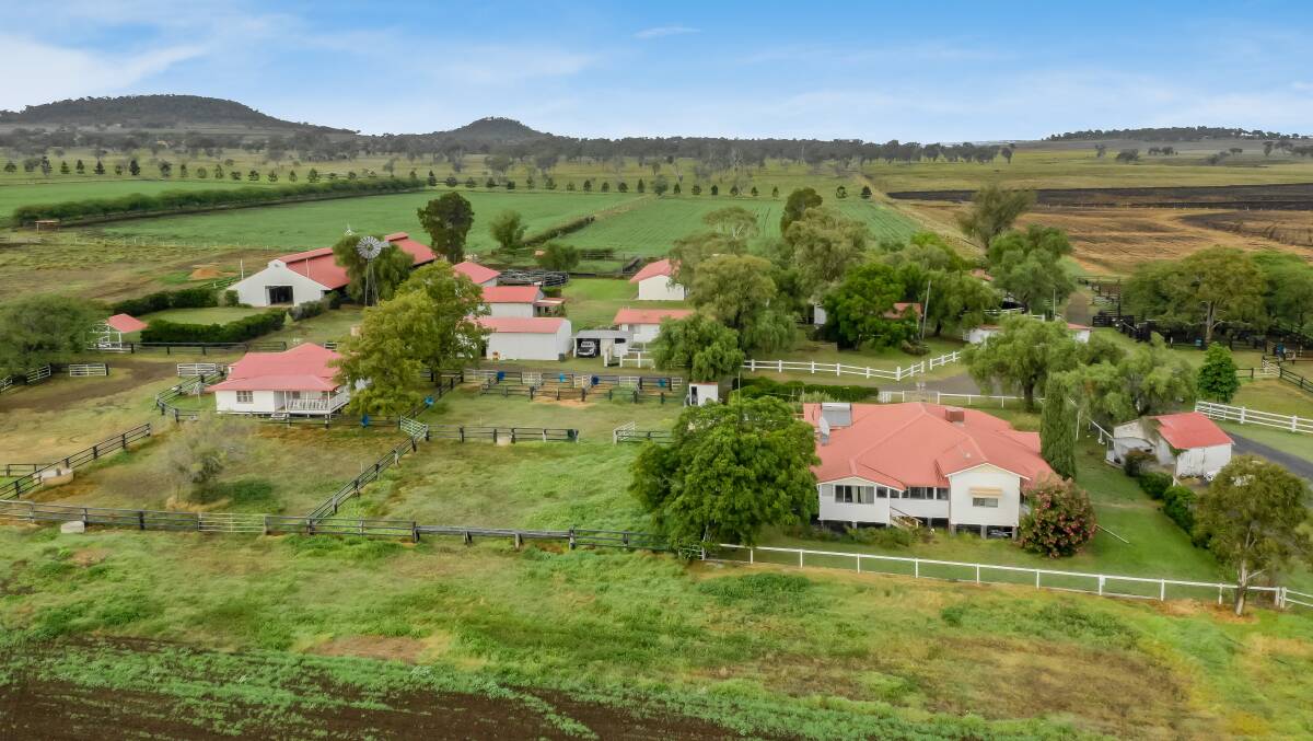 RAY WHITE RURAL: The highly regarded Thoroughbred operation Wattle Brae was passed in auction for $3.4 million.