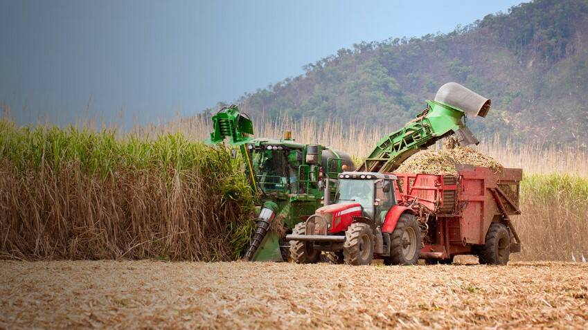 A new TAFE Queensland course aims to help canegrowers improve the profitability of their farms.