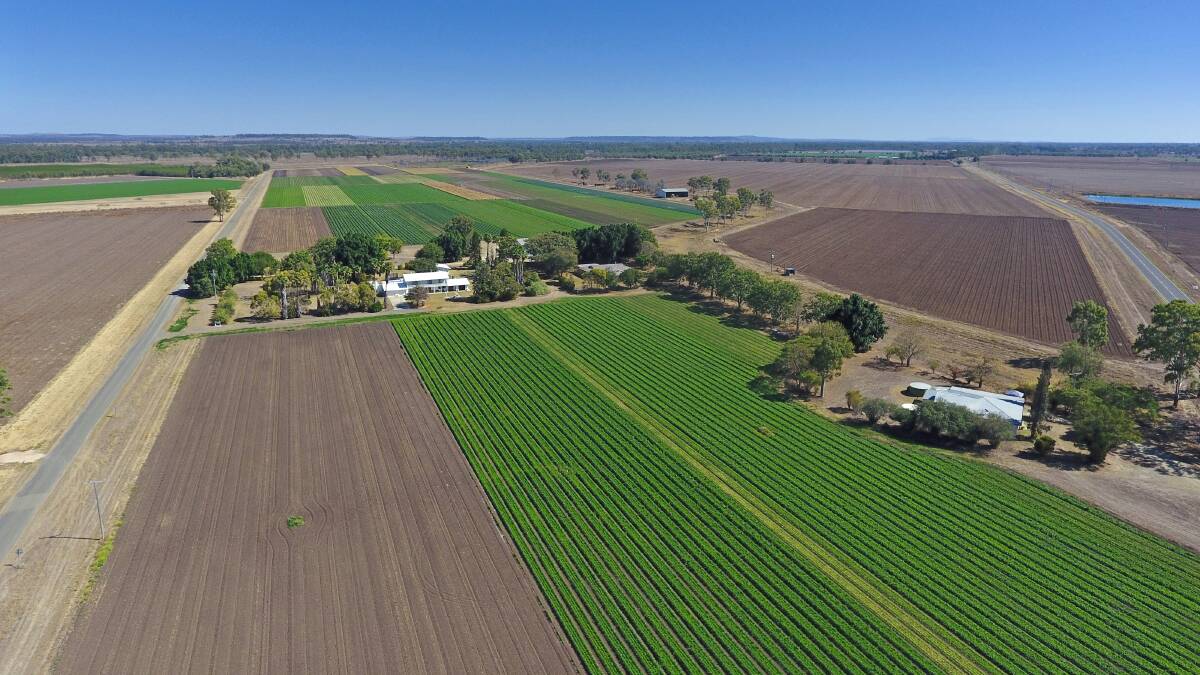 RAY WHITE RURAL: Expressions of interest on the Biloela property Navillus close on October 18.
