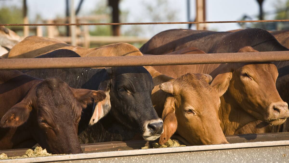 Advanced livestock feed supplements are being promoted by the federal government as a means of reducing emissions by 2050. 