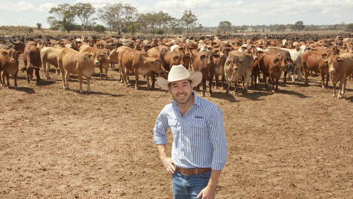Bryce Camm oversees the Camm Agricultural Group, an integrated beef enterprise with interests across Queensland. 