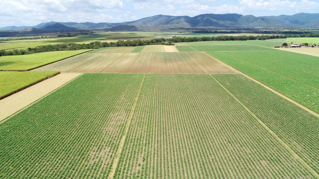 ELDERS: The high tonnage Mackay region cane and cropping operation Ribaldone will be auctioned on December 16. 