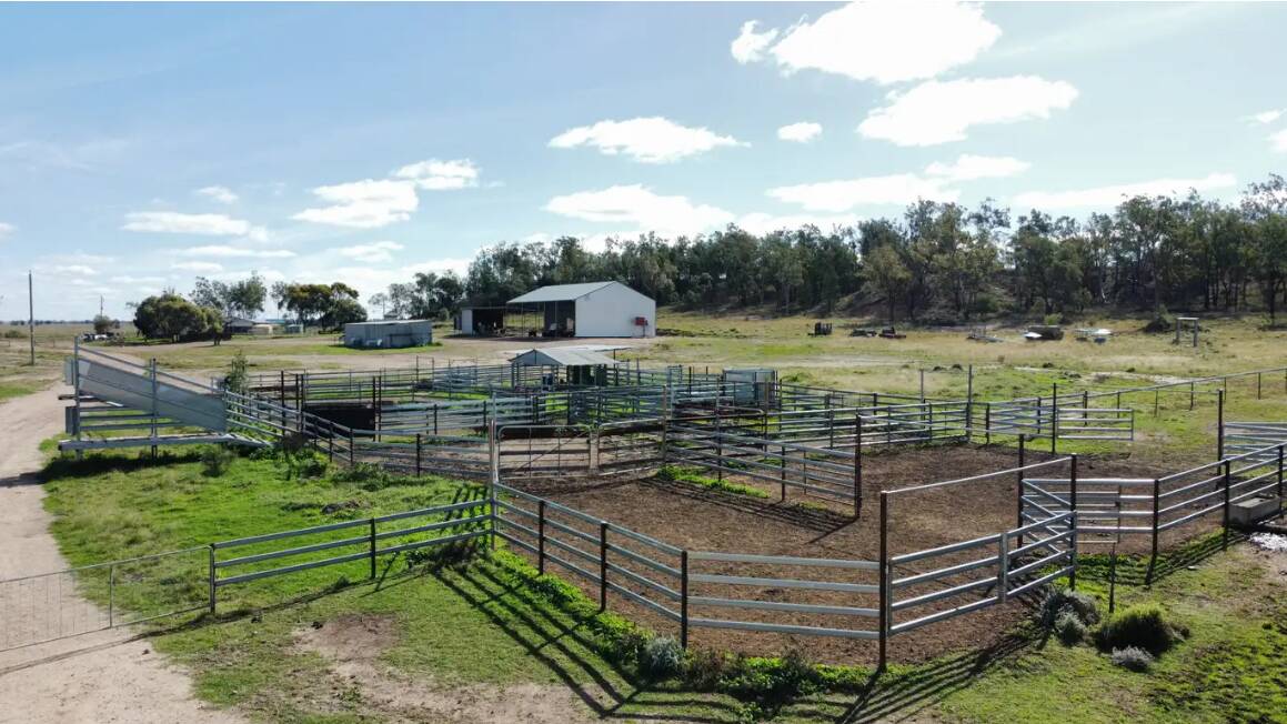 The steel cattle yards feature a double-decker loading ramp.