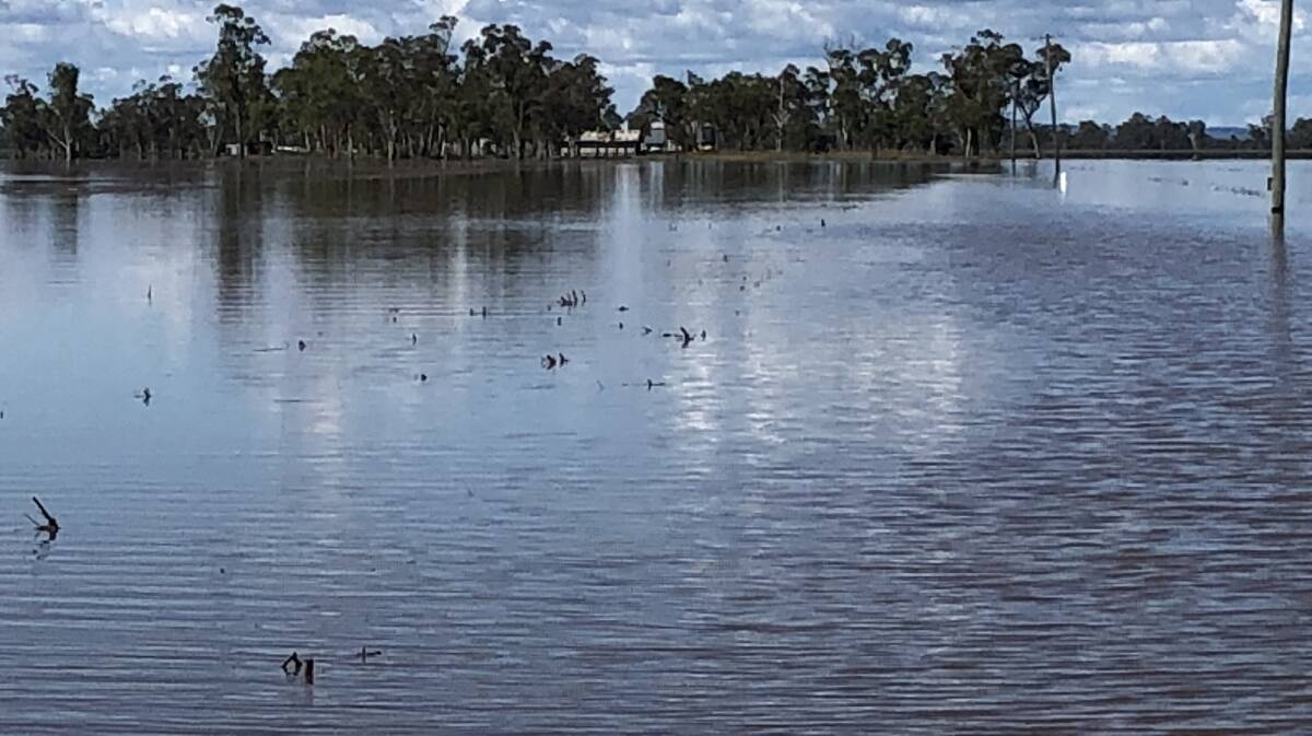 Inland Rail builders told to study current Darling Downs flood