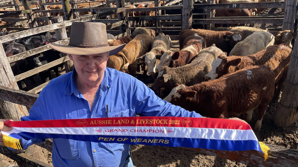 Geoff Patterson, Kingaroy, with his grand champion pen of weaners - Simmental-cross steers - at Aussie Land and Livestock's annual Coolabunia weaner sale. 