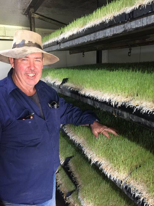 Glen Fearby is using barley sprouts to produce 'sprout fed beef'.