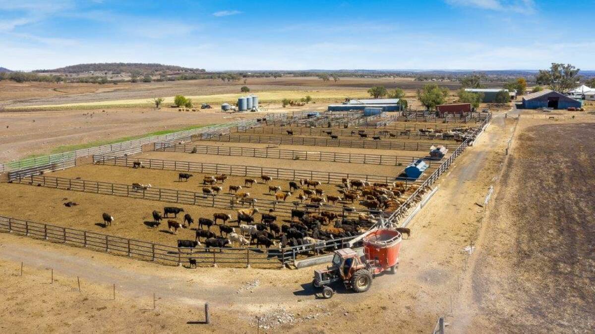 A Biddeston feedlot is being offered by Elders through an expressions of interest process closing on November 18.