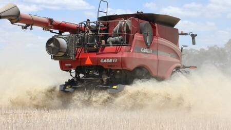 ON THE MOVE: With harvest pace running at around 50 per cent for wheat and 75pc for barley, it is highly likely there will see some quality downgrades in severely affected areas.