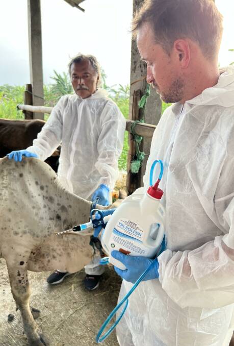 Internationally experienced New Zealand-based vet Dr Jim Young and Indonesian vet Dr Yoyon Sunaryono applying Tri-Solfen to lumpy skin disease lesions 