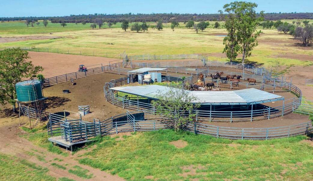 The 800-plus head steel cattle yards are centrally located and feature curved races, undercover work areas, and a six-way draft. 