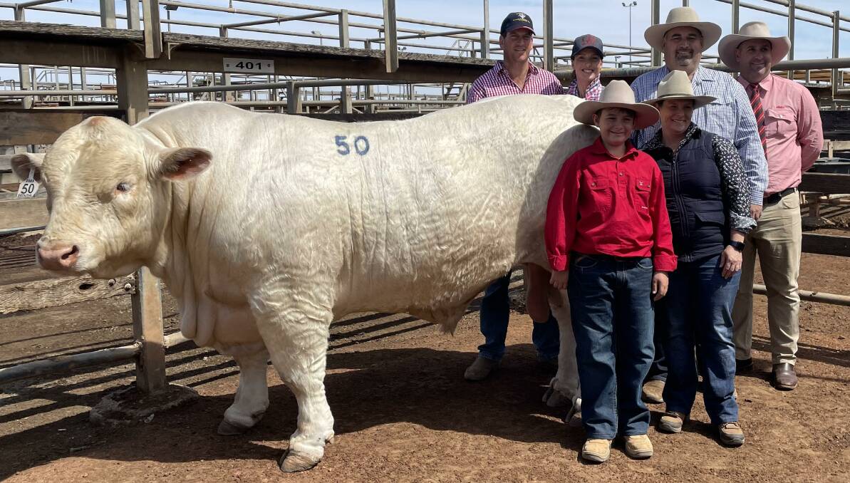 TOP PRICED BULL: Buyer Nick Curran and Samantha Cooksley, Spenbar Brahmans and Charbrays, Condamine, with vendors Ben, Marnie and Brendan Scheiwe, Brendale Charolais, Marburg, and Elders auctioneer Anthony Ball and the top priced $33,000 Brendale Quarterback.