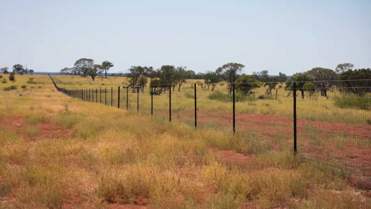 Exclusion fencing has been erected on the western boundary and part of the southern boundary