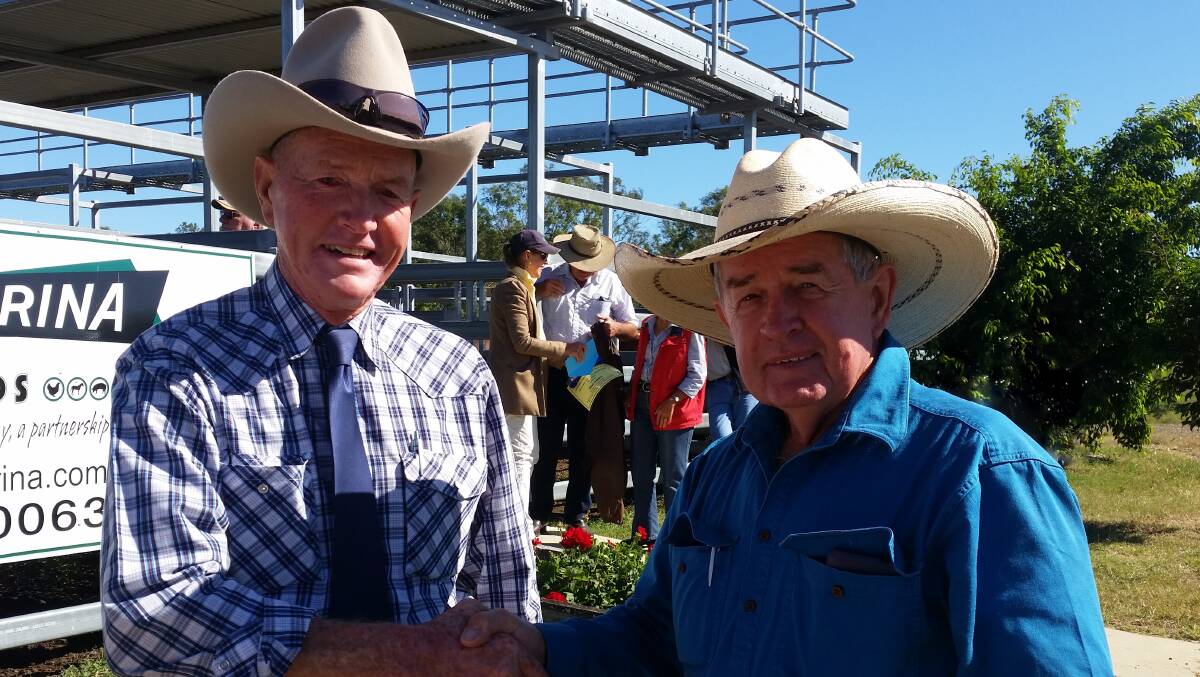 TOP PLACE: Judge Glen Perrett, Bowenfels, Nanango, with Denis Peters, Paradise Creek Pastoral Co, Laidley, who won first and second prizes for weaner steers and a first for his weaner heifers.
