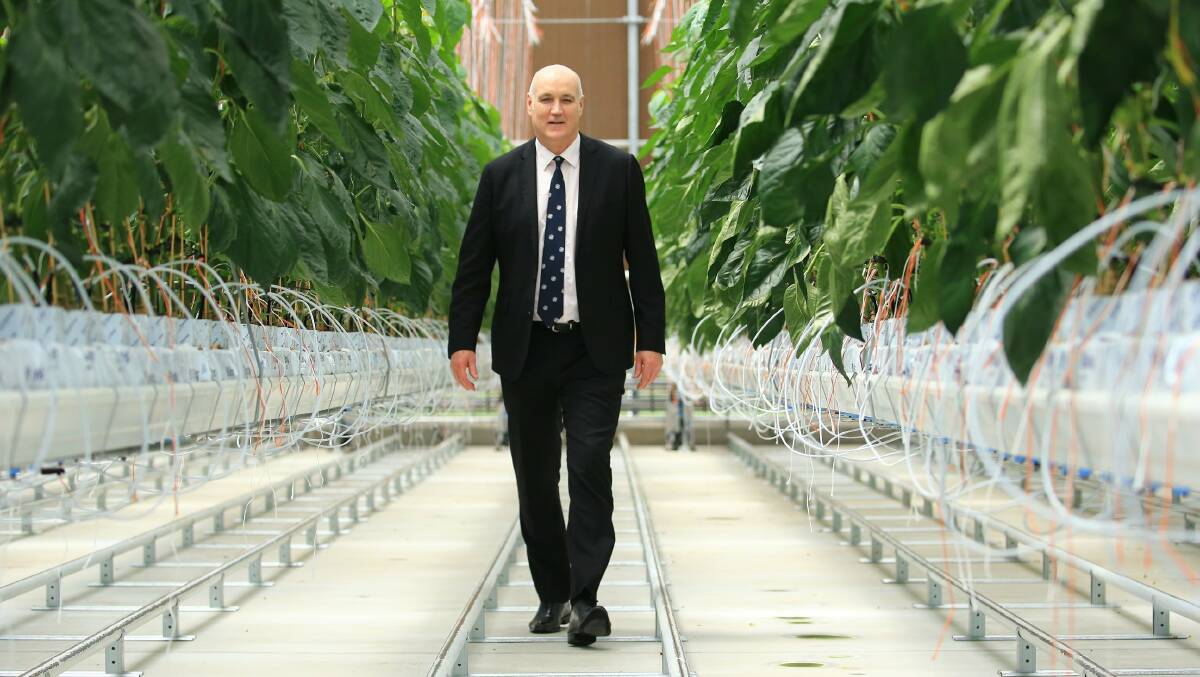 Hort Innovation R&D general manager David Moore says horticulture needs to consider alternative pollinators.