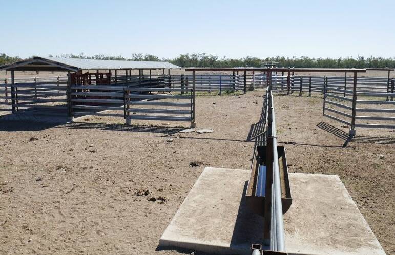 Warrawee has steel cattle yards with a crush, calf cradle and loading ramp. 