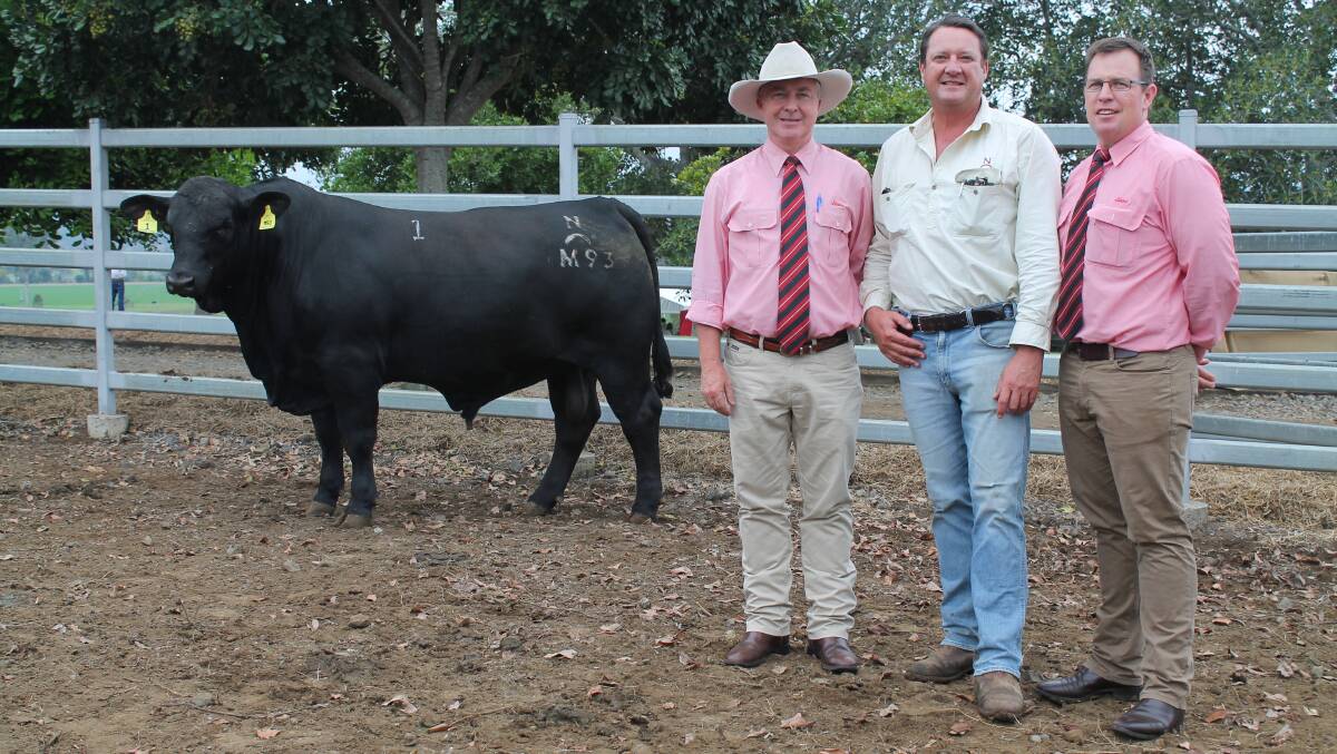 SALE TOPPER: Nindooinbah manager Nick Cameron (centre) with Andrew Meara and Paul Holm from Elders and Nindooinbah M93, which was bought for $14,000 for CPC. 