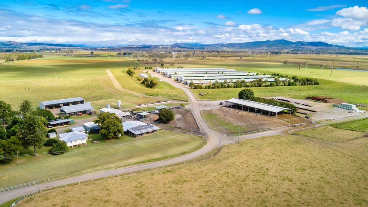 C1 REALTY: A 240,000 bird capacity free range broiler farm with cattle and cropping options has hit the market.