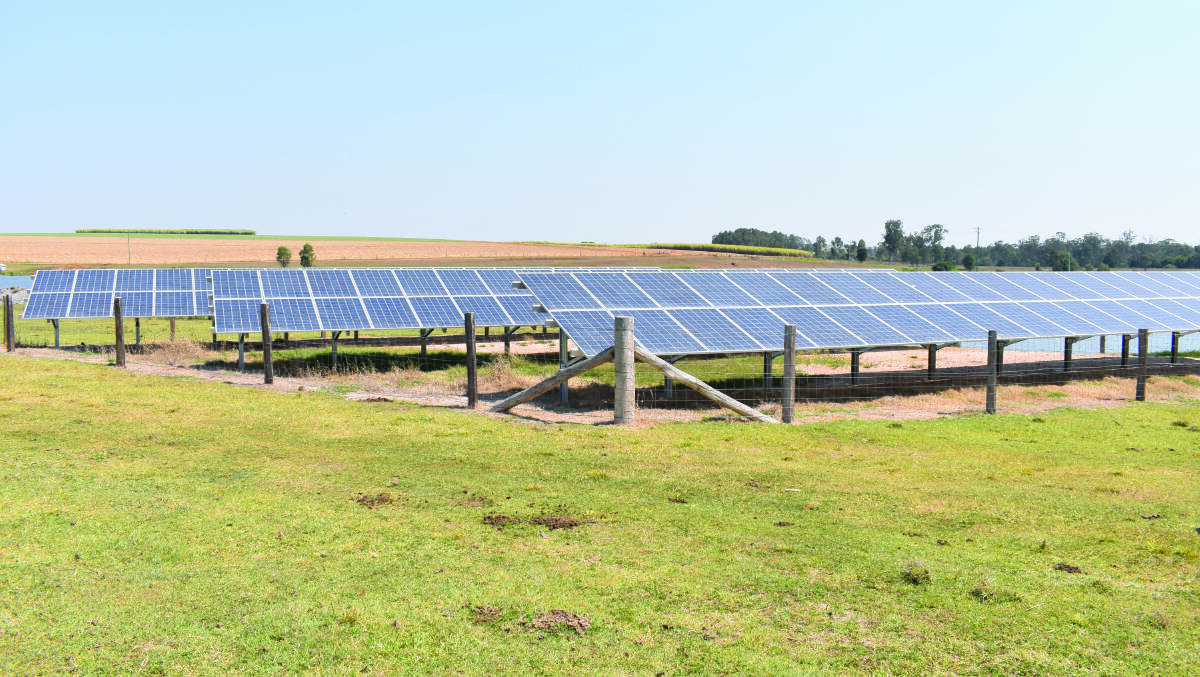 Some of the solar panels on the Russo's farm near Childers.