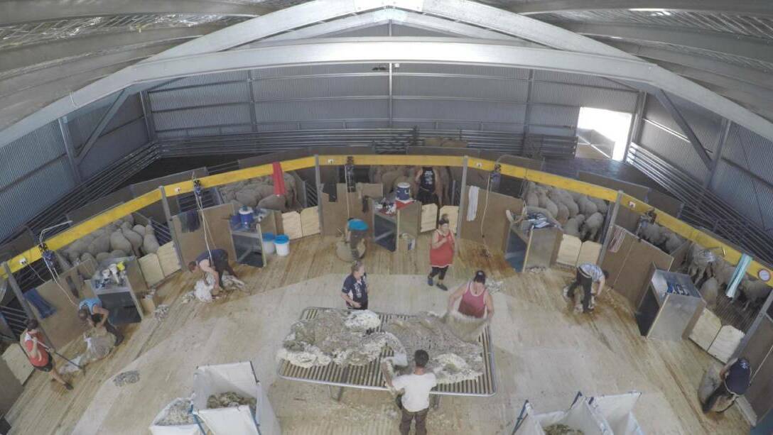 Tips, ideas and examples of innovative shearing shed designs will be on show at a workshop in Longreach on December 5.