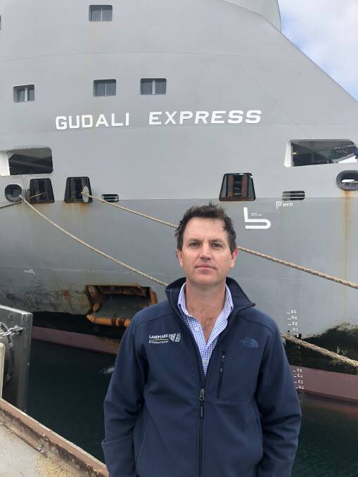 Landmark International general manager Andy Ingle was at Portland Wharf this week loading 4000 Angus heifers for China.