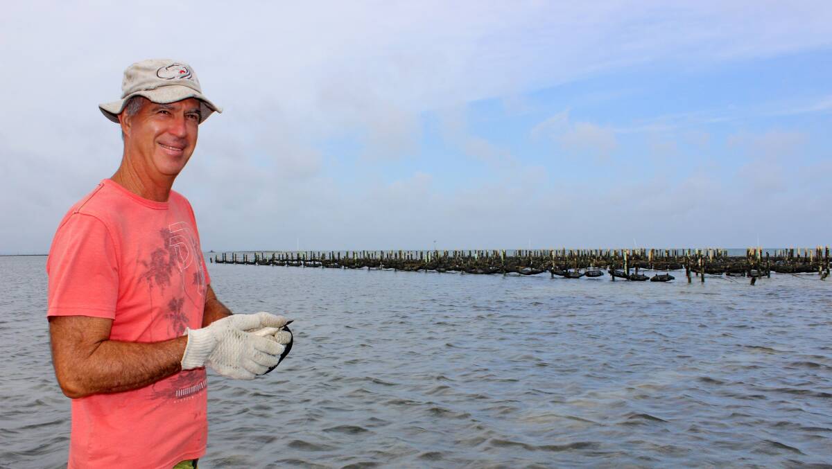 Greg Nankervis has run the oyster lease off the west coast of Stradbroke Island for the past
11 years.