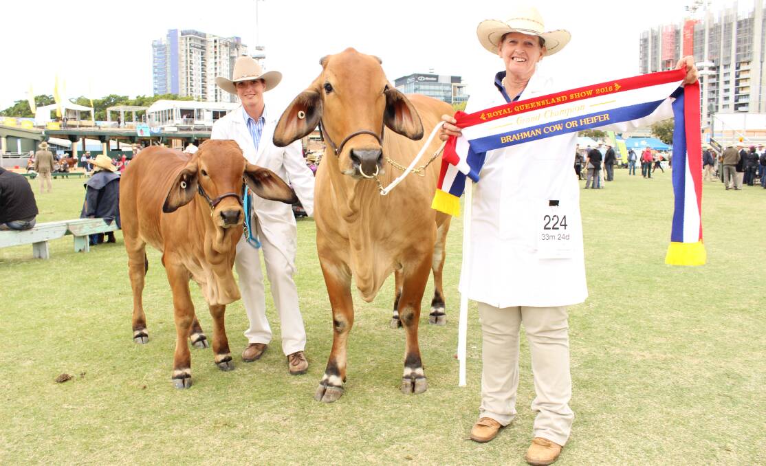 Grand Champion female Kenrol Lady Rae Lee 218F, with calf led by Samantha Cooksley and owner Wendy Cole.